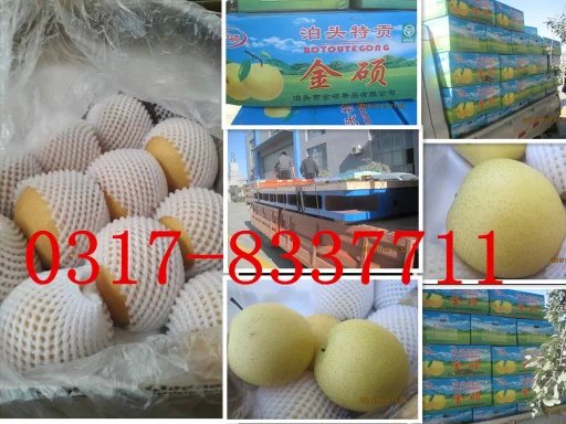 ɽ�|�����͑�ӆ�����T�Fƽ�_��100�䲴�^�����b܇�l؛